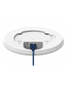 TELTONIKA NETWORKS TAP200 Access point + PoE 15 W (wersja europejska) - nr 7