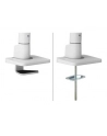 NEOMOUNTS Select Desk Mount Single Display Topfix Clamp and Grommet - nr 24