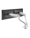 NEOMOUNTS Select Desk Mount Double Display Topfix Clamp and Grommet - nr 19
