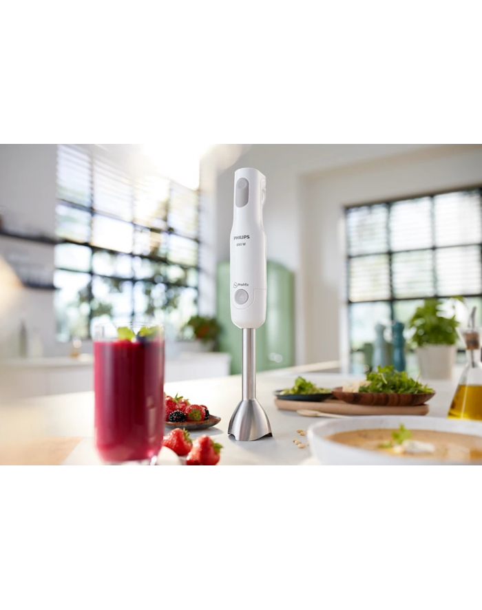 Blender ręczny PHILIPS HR 2534/00 główny