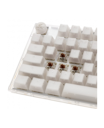 no name Klawiatura gamingowa Ducky One 3 Aura White TKL, RGB LED - MX-Brown (US)