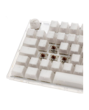 no name Ducky One 3 Aura Biała Klawiatura Gamingowa TKL, RGB LED - MX-Brown