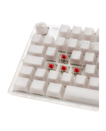 no name Ducky One 3 Aura Biała Klawiatura Gamingowa TKL, RGB LED - MX-Red nr 2