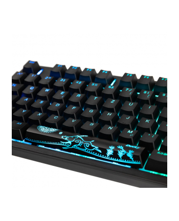 no name Klawiatura gamingowa Ducky Shine 7 PBT, MX-Red, RGB LED - zaciemnienie