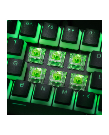 no name Glorious Raptor Switch, mechaniczny, 5-pinowy, clicky, MX-Stem, 55g - 36 sztuk nr 1