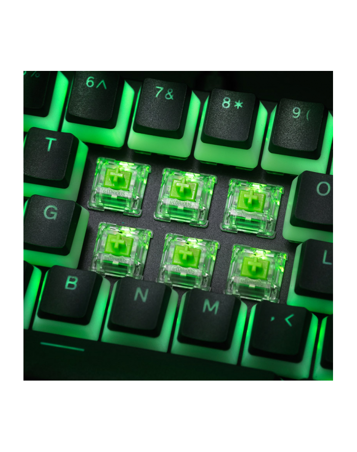 no name Glorious Raptor Switch, mechaniczny, 5-pinowy, clicky, MX-Stem, 55g - 36 sztuk główny