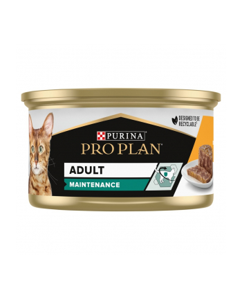 purina nestle PURINA Pro Plan Adult Maintenance Kurczak - mokra karma dla kota - 85 g