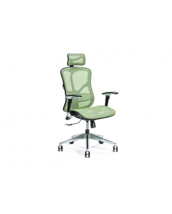 bemondi Ergonomiczny fotel biurowy ERGO 500 zielony