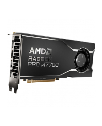 GPU AMD Radeon PRO W7700 16GB 100-300000006