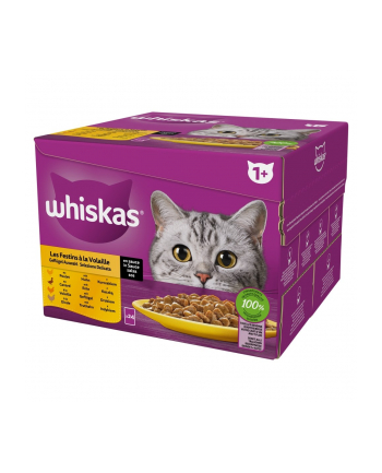 WHISKAS Kurczak kaczka drób indyk w sosie 24x85g