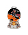 Zestaw do ping ponga, tenisa DonicAppelgren 300 Set - nr 1