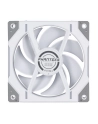 no name PHANTEKS D30 PWM Regular Airflow D-RGB wentylator - 120mm, biały - nr 17