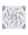 no name PHANTEKS D30 PWM Regular Airflow D-RGB wentylator - 120mm, biały - nr 25