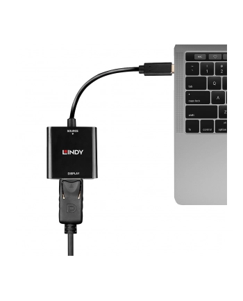 Lindy USB converter, USB-C male > DisplayPort female (Kolor: CZARNY, 21cm, 4K 144Hz) nr 1