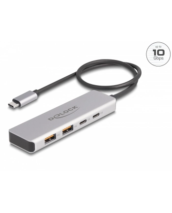 DeLOCK USB 10 Gbps USB Type-C Hub with 2 x USB Type-A and 2 x USB Type-C, USB hub (grey)