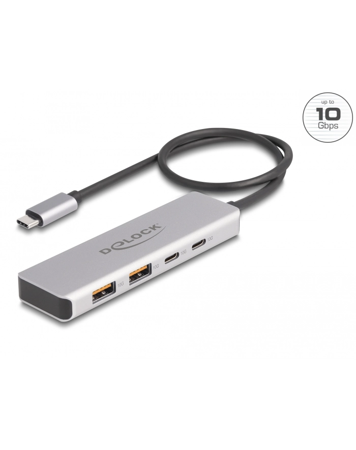 DeLOCK USB 10 Gbps USB Type-C Hub with 2 x USB Type-A and 2 x USB Type-C, USB hub (grey) główny