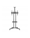 Stojak mobilny Techly 37''-70'', 50kg regulowany, 2xpółka - nr 10