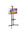 Stojak mobilny Techly 37''-70'', 50kg regulowany, 2xpółka - nr 7