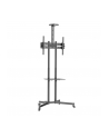Stojak mobilny Techly 37''-70'', 50kg regulowany, 2xpółka - nr 8