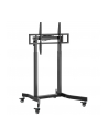 Stojak mobilny Techly 55''-100'', 120 kg, elektryczna regulacja - nr 1