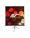 EliteScreens Tripod, tripod screen (Kolor: CZARNY, 85, 1:1, MaxWhite) - nr 1