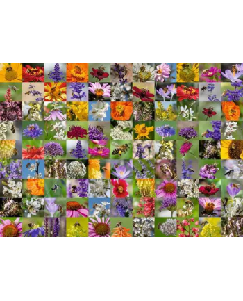 Ravensburger jigsaw puzzle 99 bees (1000 pieces)