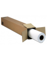 Papier HP Film/Matte Polyester 0.61x36.6m - nr 1