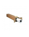 Papier HP Film/Matte Polyester 0.61x36.6m - nr 6