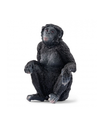 Schleich 14875 Samica szympansa karłowatego Wild life nr 2