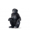 Schleich 14875 Samica szympansa karłowatego Wild life - nr 4