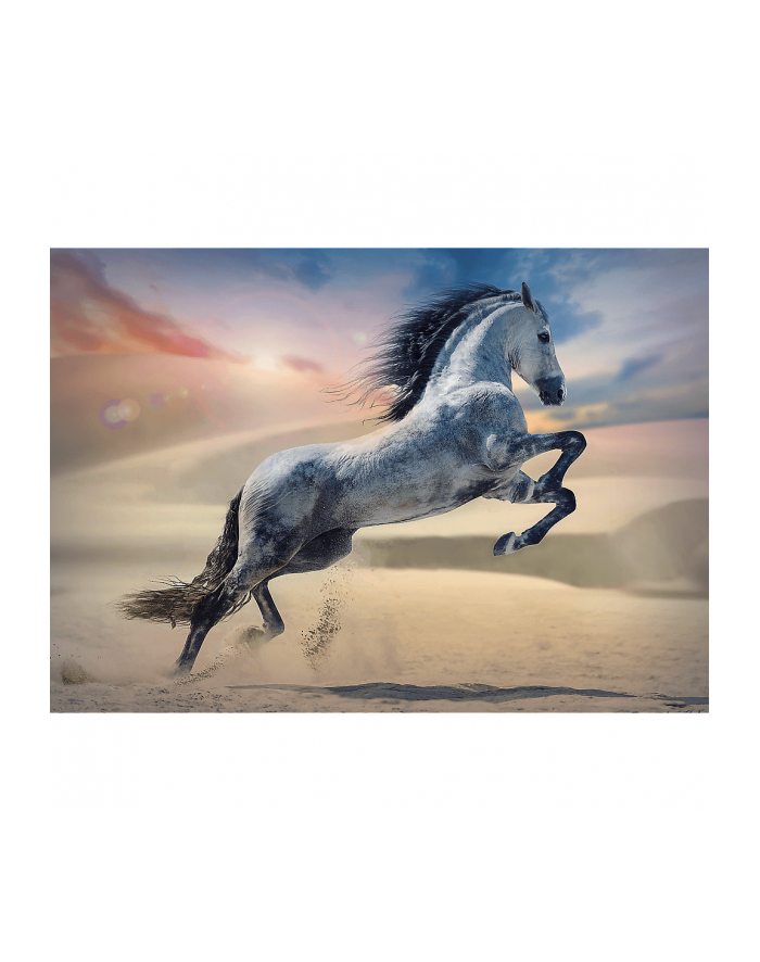 Puzzle 1000el Majestatyczne koń 10790 Trefl główny