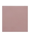 Thermal Grizzly Minus Pad 8 - 100x 100x 1.0 mm, thermal pads - nr 19