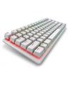 dell technologies D-ELL Alienware Pro Wireless Gaming Keyboard - US QWERTY - Lunar Light - nr 14