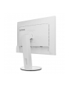 LENOVO ThinkVision C24d-20 24inch 1920x1200 16:10 300cd/m2 VGA HDMI DP DVI Topseller - nr 7