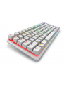 dell technologies D-ELL Alienware Pro Wireless Gaming Keyboard - US QWERTY - Lunar Light - nr 5