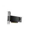 pny technologies PNY NVIDIA 2000 Ada 16GB LowProfile, PCIe 40 x16, Dual Slot, 4x Mini DP 14a, 16 GB GDDR6 ECC 128-bit, HDCP 22, HDMI 20, LP - ATX bracket, 1x mDP to DP adapter, retial - nr 10