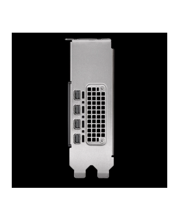 pny technologies PNY NVIDIA 2000 Ada 16GB LowProfile, PCIe 40 x16, Dual Slot, 4x Mini DP 14a, 16 GB GDDR6 ECC 128-bit, HDCP 22, HDMI 20, LP - ATX bracket, 1x mDP to DP adapter, retial