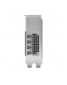 pny technologies PNY NVIDIA 2000 Ada 16GB LowProfile, PCIe 40 x16, Dual Slot, 4x Mini DP 14a, 16 GB GDDR6 ECC 128-bit, HDCP 22, HDMI 20, LP - ATX bracket, 1x mDP to DP adapter, retial - nr 5