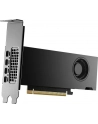 pny technologies PNY NVIDIA 2000 Ada 16GB LowProfile, PCIe 40 x16, Dual Slot, 4x Mini DP 14a, 16 GB GDDR6 ECC 128-bit, HDCP 22, HDMI 20, small box - nr 2