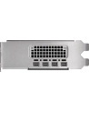 pny technologies PNY NVIDIA 2000 Ada 16GB LowProfile, PCIe 40 x16, Dual Slot, 4x Mini DP 14a, 16 GB GDDR6 ECC 128-bit, HDCP 22, HDMI 20, small box - nr 4