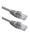 Kabel Patchcord Qoltec UTP | CAT5e | 2 x RJ-45 | 5m - nr 2