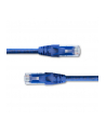 Kabel Patchcord Qoltec UTP | CAT6 | 2 x RJ-45 | 5m - nr 4