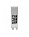 pny technologies PNY NVIDIA 2000 Ada 16GB LowProfile, PCIe 40 x16, Dual Slot, 4x Mini DP 14a, 16 GB GDDR6 ECC 128-bit, HDCP 22, HDMI 20, LP - ATX bracket, 1x mDP to DP adapter, retial - nr 18
