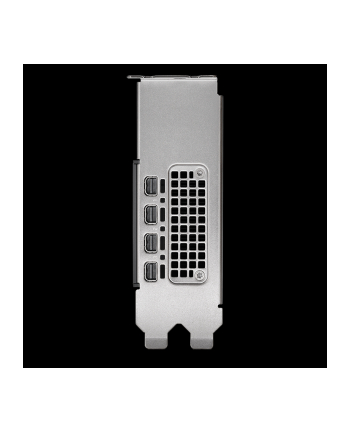 pny technologies PNY NVIDIA 2000 Ada 16GB LowProfile, PCIe 40 x16, Dual Slot, 4x Mini DP 14a, 16 GB GDDR6 ECC 128-bit, HDCP 22, HDMI 20, LP - ATX bracket, 1x mDP to DP adapter, retial