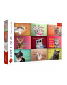 Puzzle 1500el Zabawne kocie portrety 26212 Trefl - nr 2
