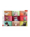 Puzzle 1500el Zabawne kocie portrety 26212 Trefl - nr 4