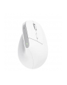 trust Mysz ergonomiczna BAYO+ Bezprzewodowa Biała - nr 25