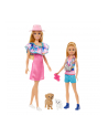 Mattel Barbie Family ' Friends Stacie ' Barbie 2-Pack Doll - nr 15