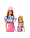 Mattel Barbie Family ' Friends Stacie ' Barbie 2-Pack Doll - nr 16