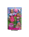 Mattel Barbie Family ' Friends Stacie ' Barbie 2-Pack Doll - nr 18